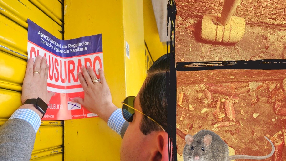 Así permanecían las instalaciones del lugar: un ratón muerto junto a las patas de cangrejo.