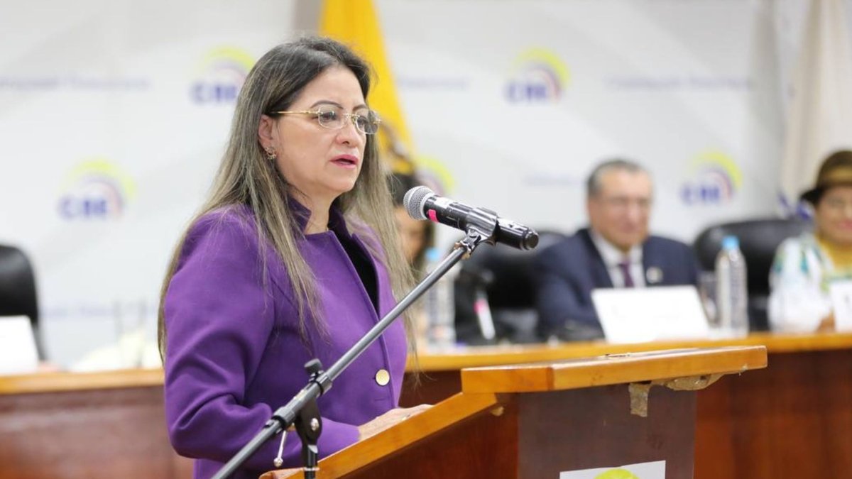 La vocal del CNE, Elena Nájera, cuestiona a Enrique Pita sobre los supuestos expedientes.