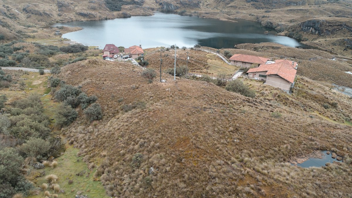 Hecho. Tras el incendio de noviembre pasado mucha vegetación quedó afectada.