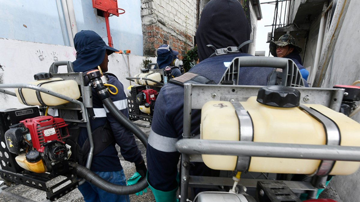 En Guayaquil, el Municipio realiza jornadas de fumigación en varios puntos. La ciudadanía pide atender los canales que den paso al estancamiento de aguas.