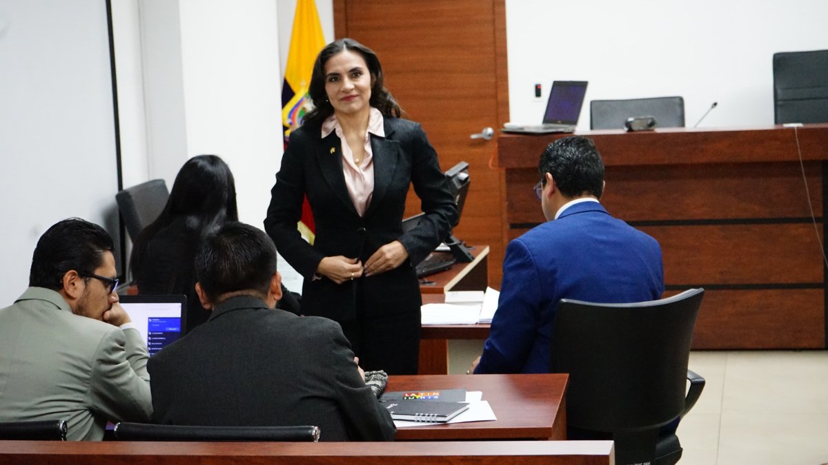 Verónica Abad, vicepresidenta de Ecuador, presentó una acción de protección contra los decretos ejecutivos del presidente Daniel Noboa, que fue finalmente rechazada por el Tribunal.