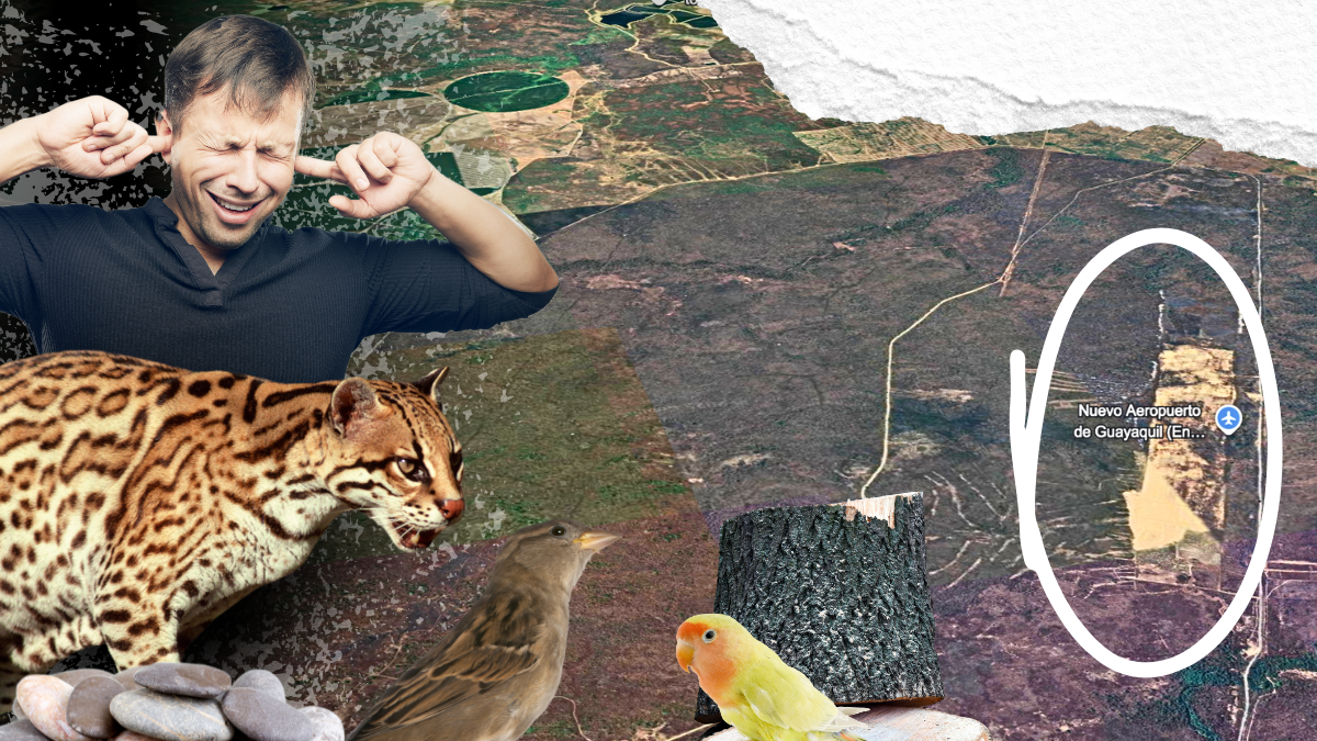 El principal impacto del Aeropuerto, es en materia ambiental.