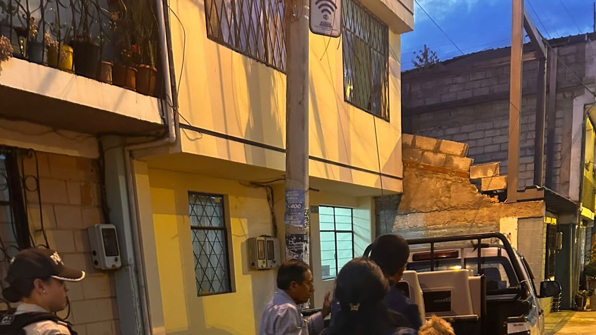 Los dos animales fueron rescatados y el dueño enfrenta una sanción.