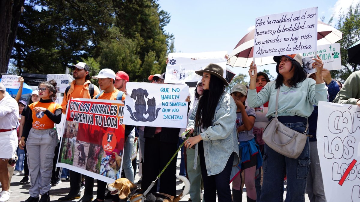 En Quito animalistas y ciudadanía realizaron una marcha para exigir que se archive el proyecto del ley LODA