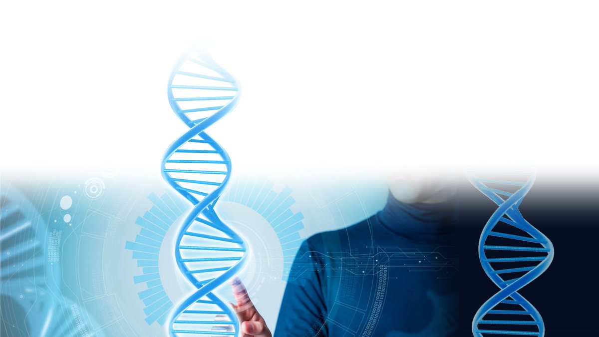 Un grupo de científicos de la Universidad de Columbia crea una IA capaz de predecir el funcionamiento interno de las células.