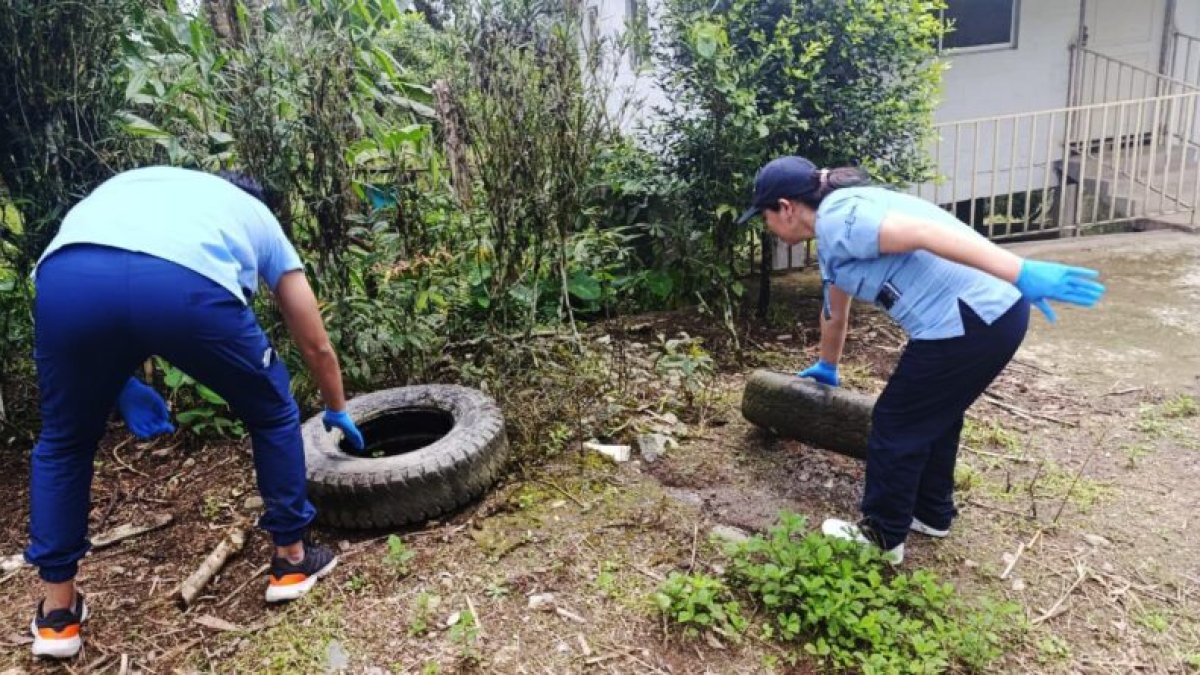 Se realizan mingas comunitarias para la destrucción de criaderos de el dengue, zika y chikunguya
