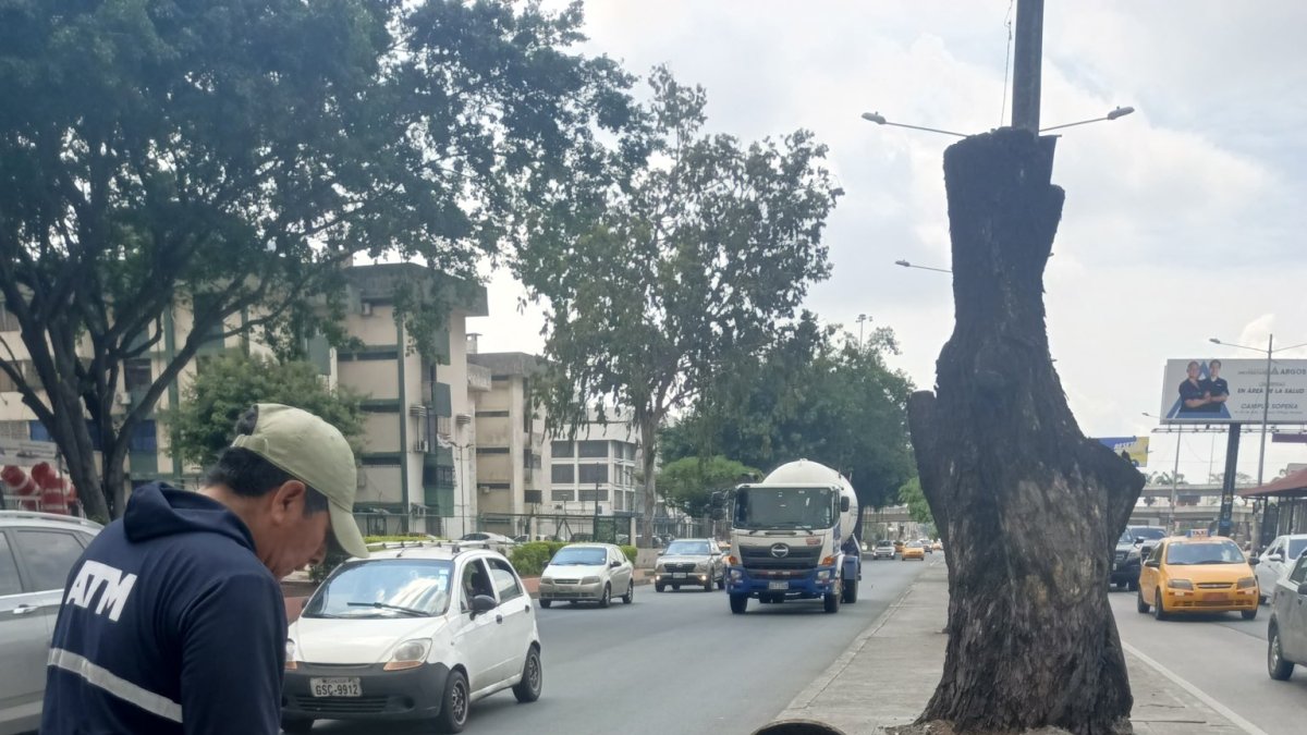 ATM atiende la situación.