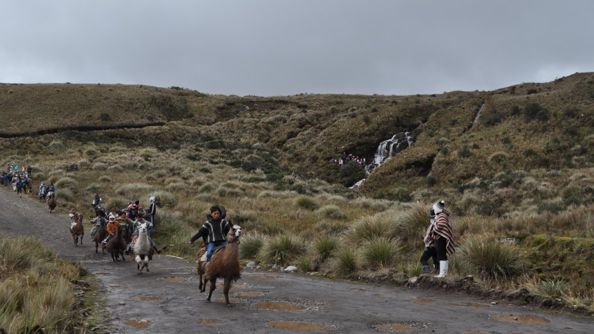 La “Llamingada” o carrera de llamingos es el evento central de la celebración por el día de los humedales.