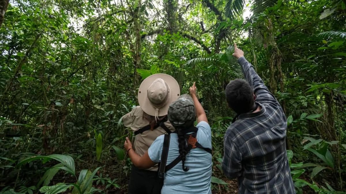 ONG. Las reservas naturales reciben visitas de nacionales y extranjeros quienes descubren distintas especies de aves.
