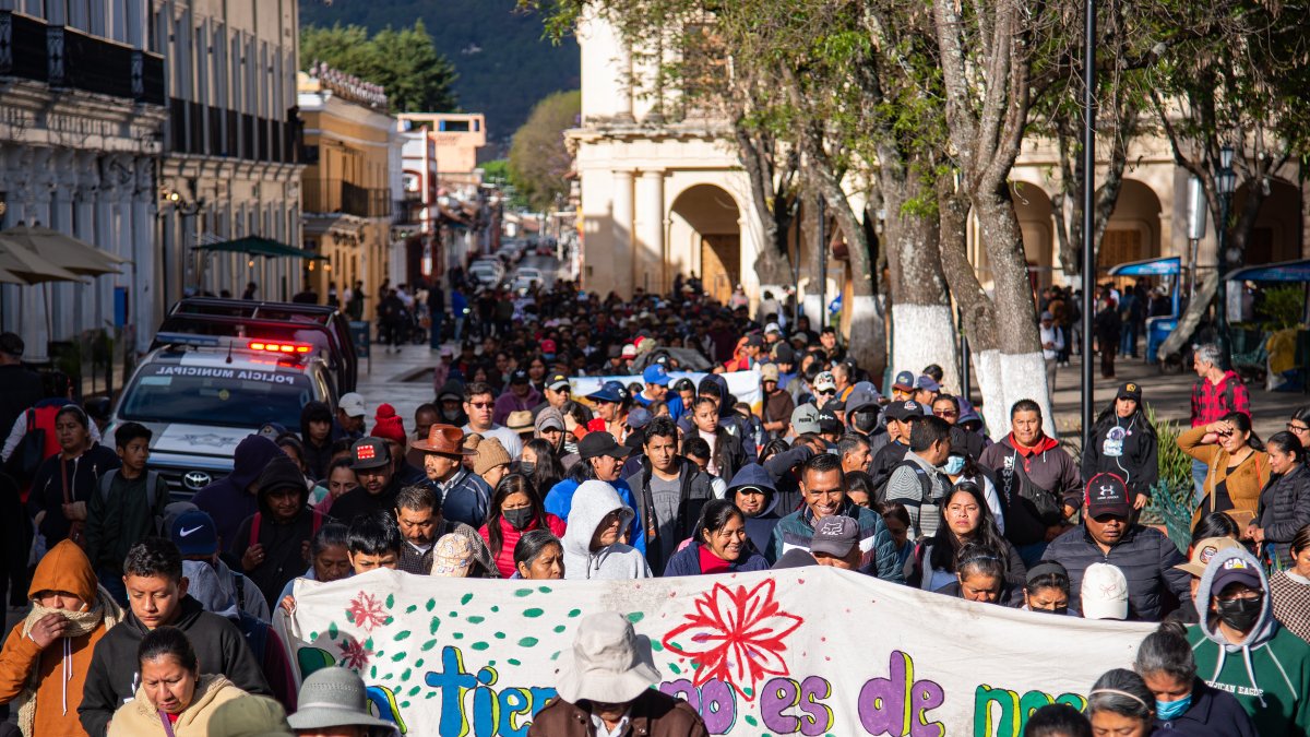 Activistas y ambientalistas protestan este domingo en las principales avenidas del municipio de San Cristóbal de las Casas, en el estado de Chiapas (México). 