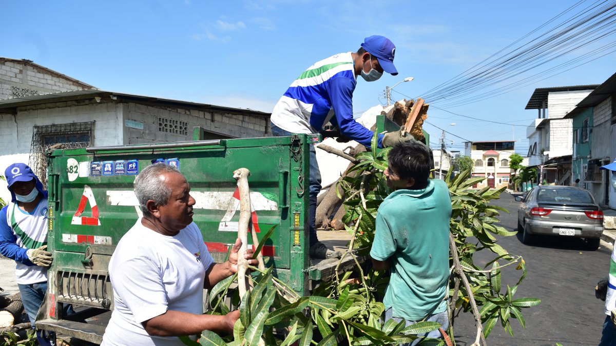 La mala disposición de los desechos sólidos ha sido un mal que ha afectado a la ciudad