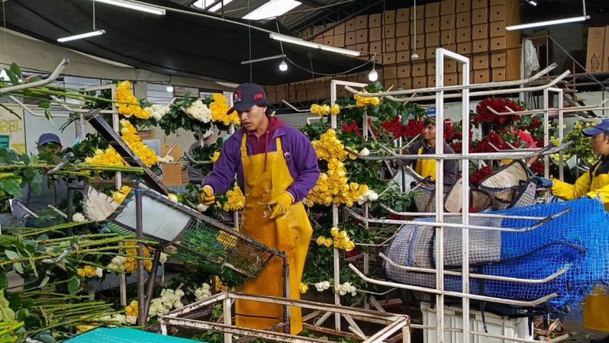 Con un nuevo Acuerdo con Canadá, Ecuador aumentaría el empleo, según el Gobierno.