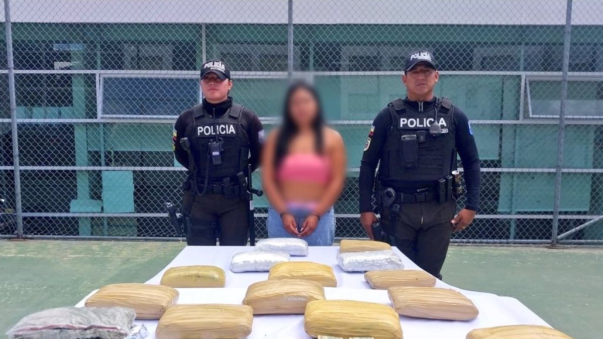 Operativos policiales, permitieron la aprehensión de una ciudadana por el delito de tenencia de sustancias sujetas a fiscalización