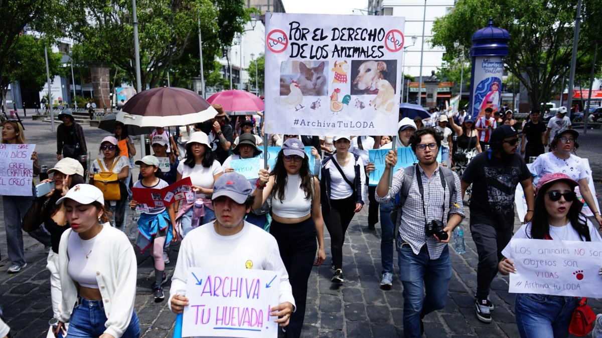 Pronunciamiento. Animalistas realizaron una marcha el sábado para exigir que se archive el proyecto de ley.