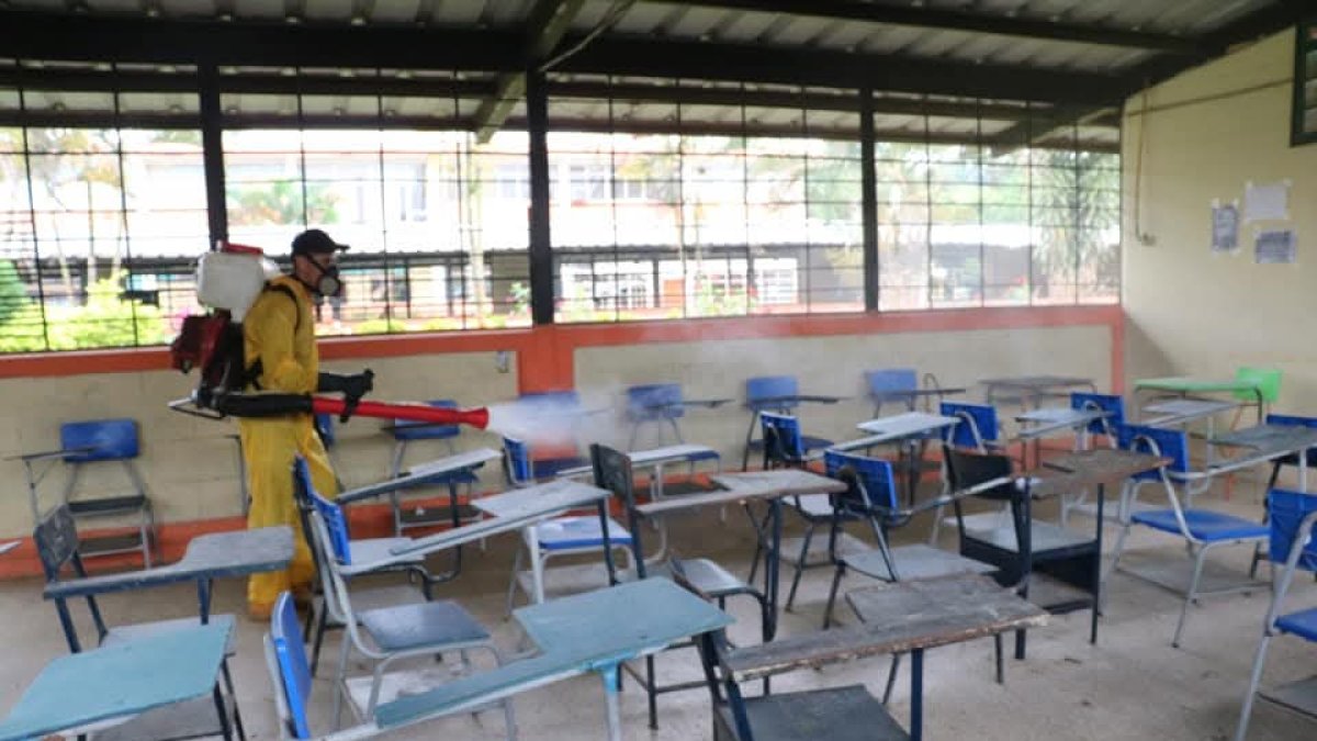 Desde el Ministerio de Salud se realiza campañas de fumigación.