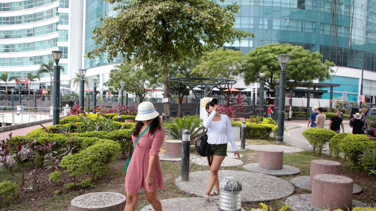 Miedos. Los visitantes temen que los escrementos caigan sobre ellos. Algunos hasta utilizan sombreros por precaución.