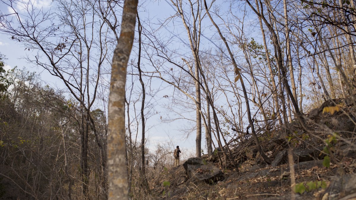 la minería ilegal y la contaminación por plásticos afectan la calidad del agua, poniendo en riesgo la salud de comunidades enteras.