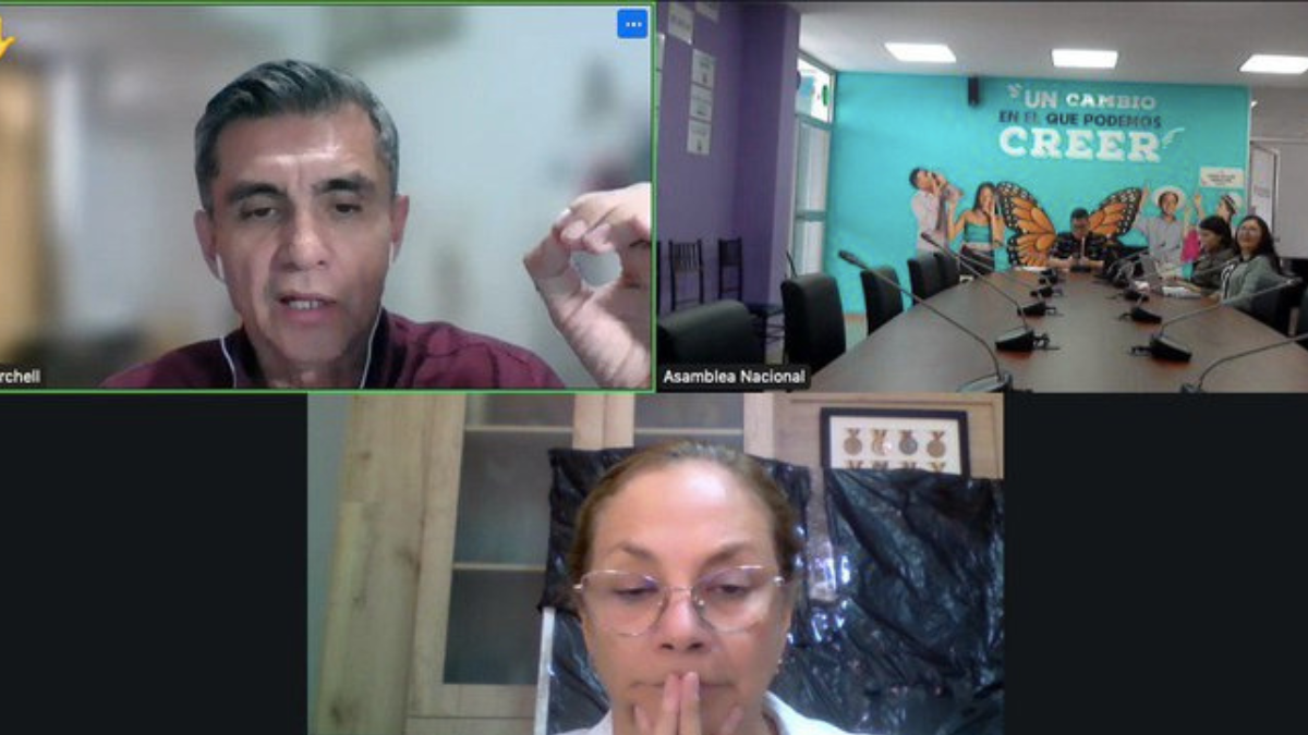 Pierina Correa preside la Comisión de Protección a Niños y Adolescentes, de la Asamblea.