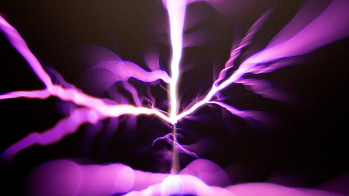 La muestra, que cuenta con componentes sonoros, se inauguró en la capital.