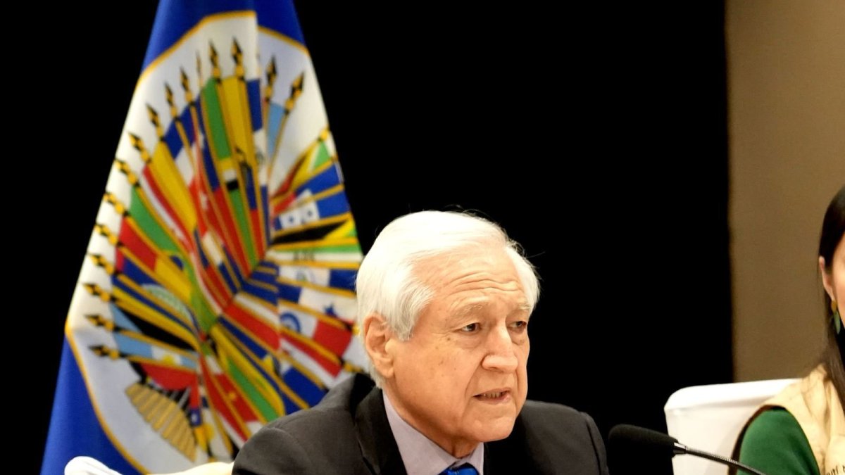 El jefe de la misión de observación electoral de la OEA, Heraldo Muñoz.