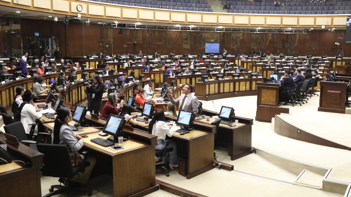 Luego de los resultados de las elecciones, se conocerá cómo quedan conformadas las nuevas bancadas en la Asamblea Nacional.
