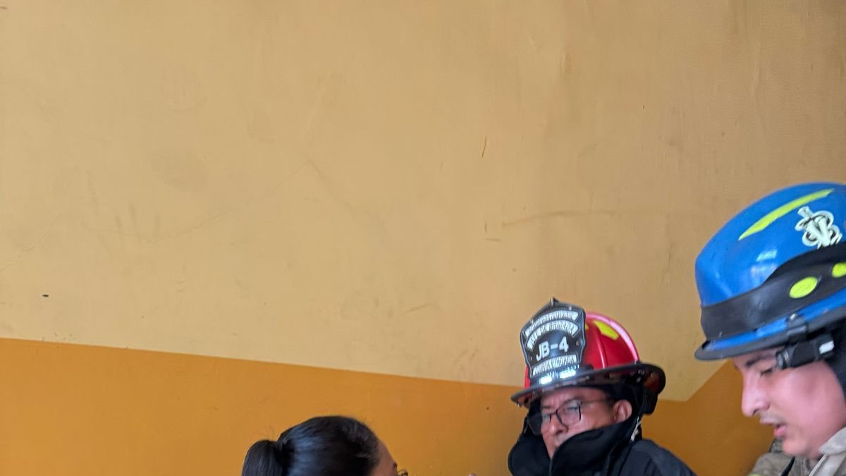 El gato fue puesto en buen recaudo.