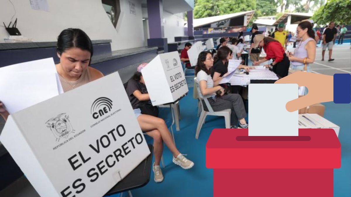 Los resultados de las elecciones presidenciales reflejan cifras para analizar el comportamiento del elector.