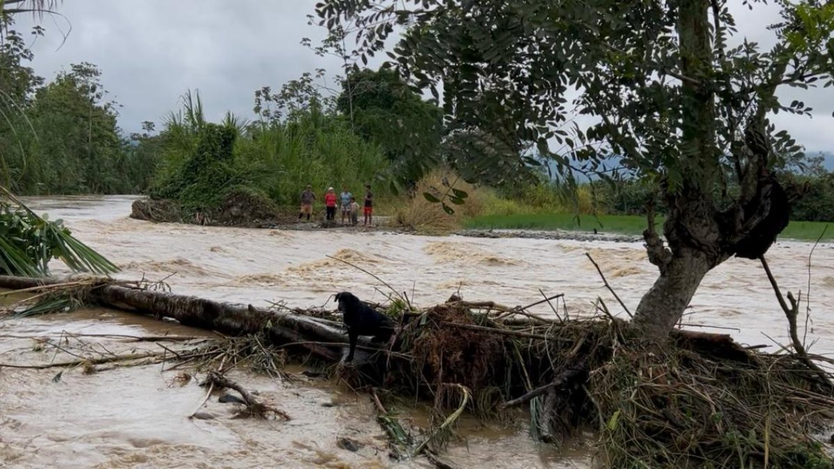 La crecida de los ríos afectó a plantaciones de la provincia.