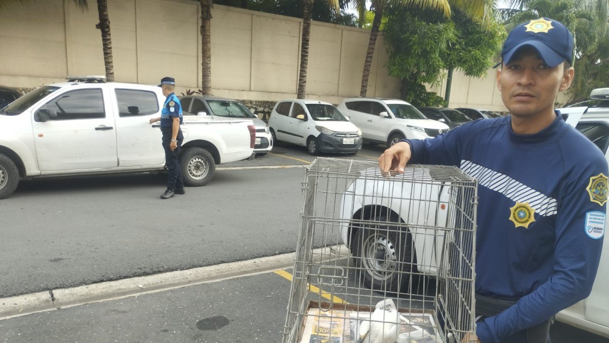 El rescate se dio a conocer este miércoles 12 de febrero.