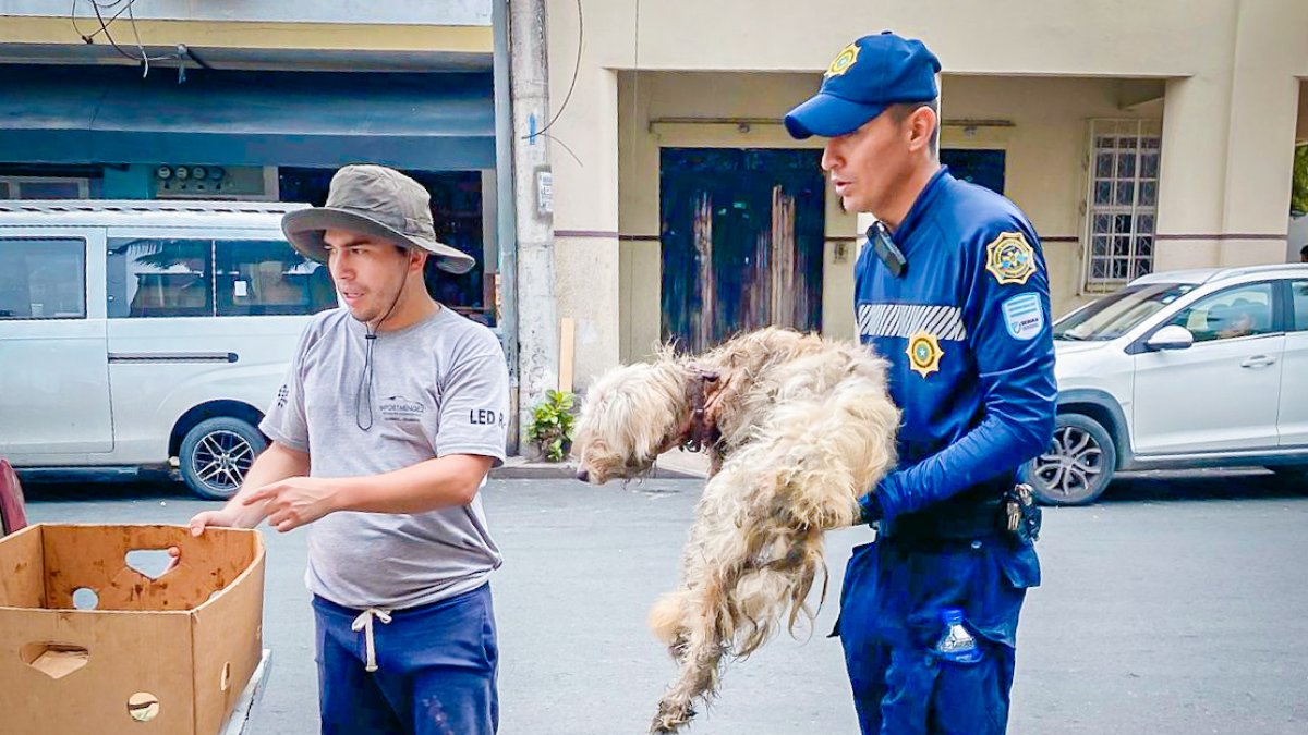 En este caso acudieron agentes de Segura EP.
