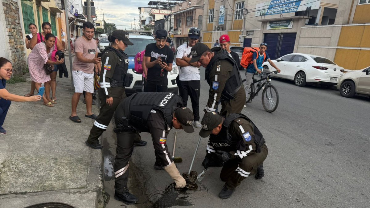 La boa se refugió en las redes de alcantarillado.