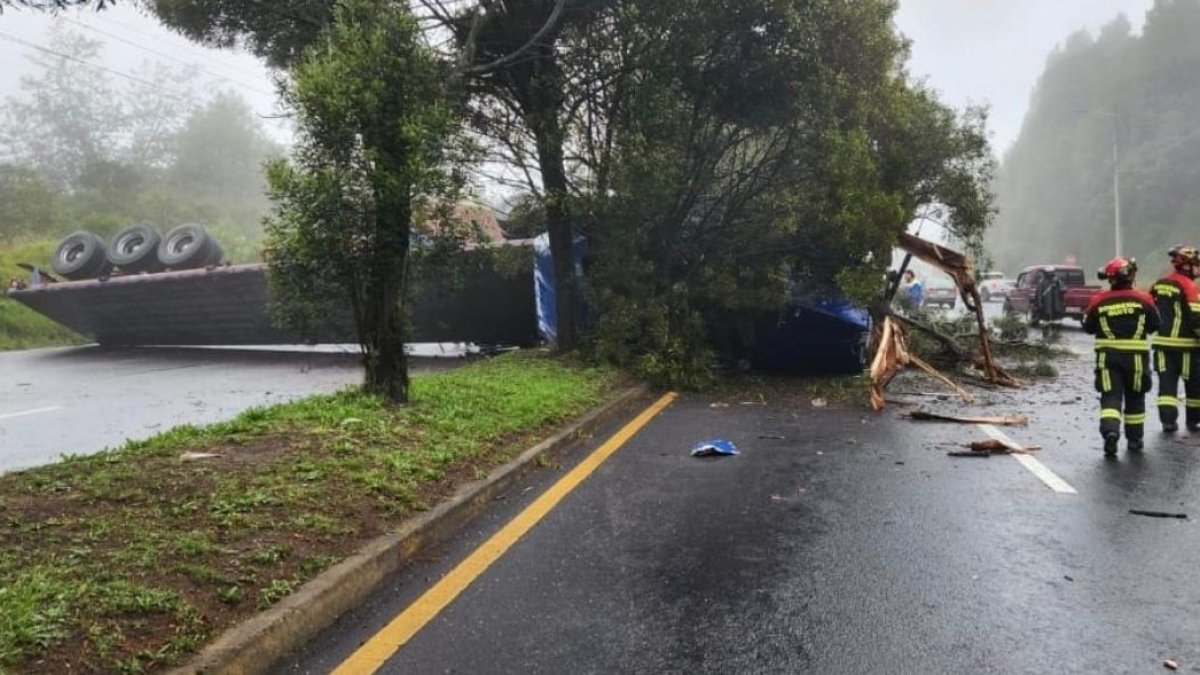 El tráiler se volcó sobre la acera, llevándose los árboles del parterre.