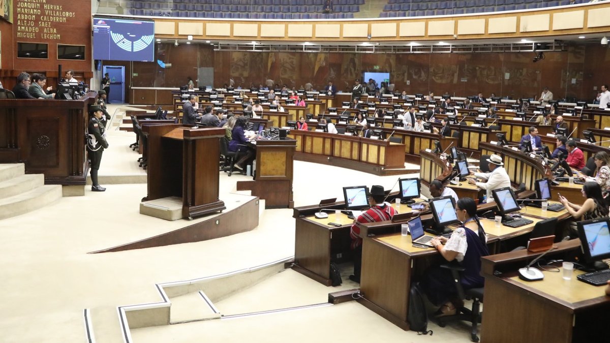 Dos grandes bancadas tendrá la nueva Asamblea Nacional, conformadas por ADN y el correísmo.