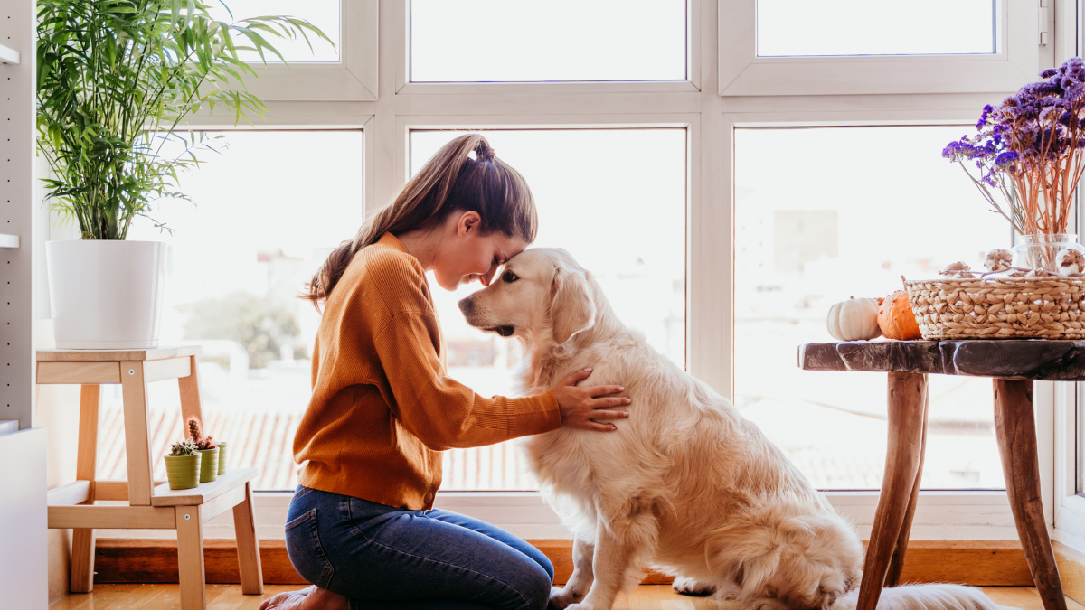 Adoptar puede ser amor a primera vista.