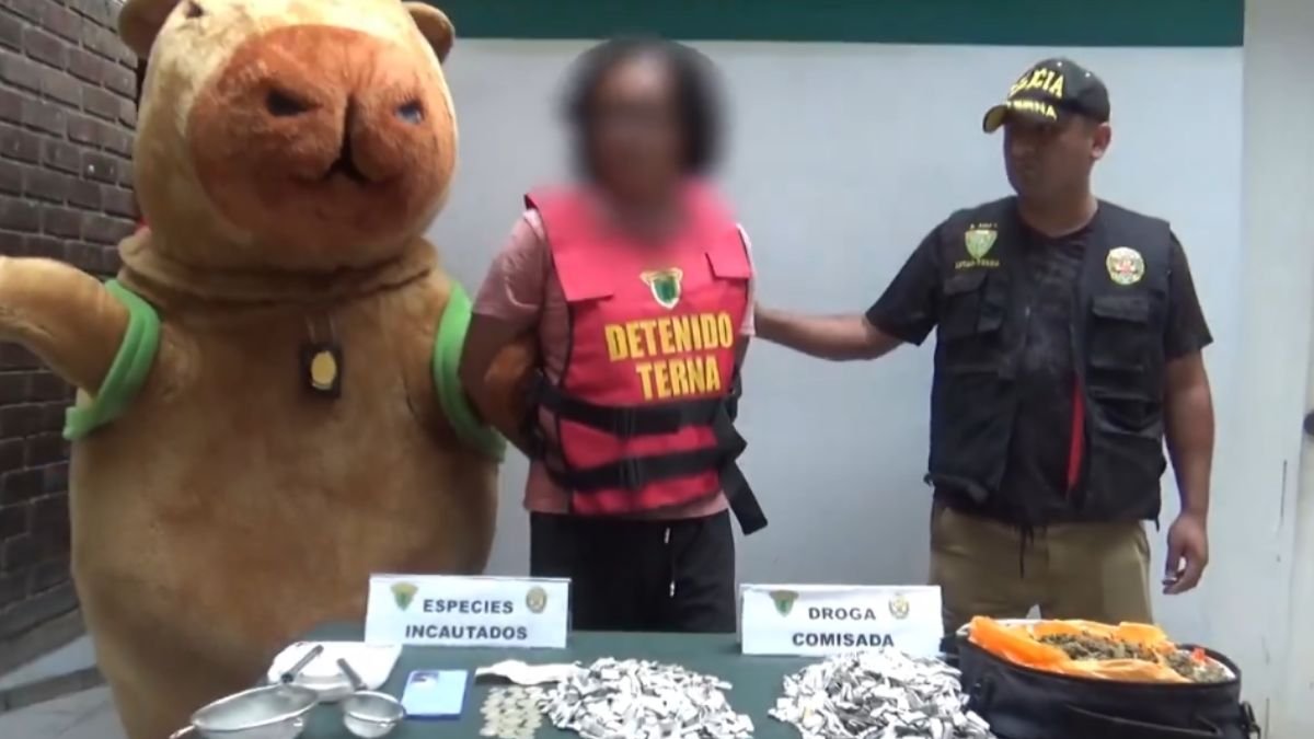 Policía disfrazado de capibara sorprende y captura a traficante de droga.