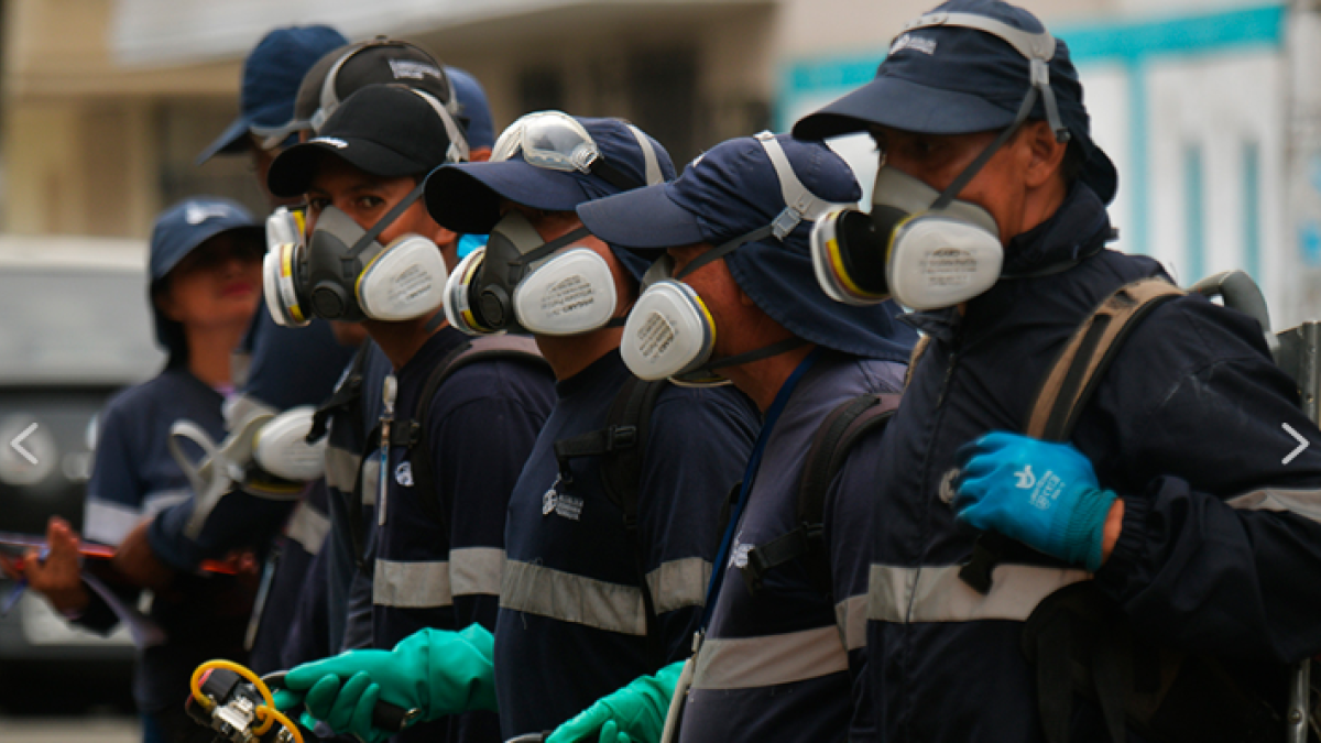 Personal municipal realizó jornada de fumigación en Sauces 7