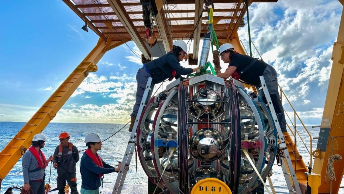 Una vez completado, el telescopio de neutrinos KM3NeT constará de 345 unidades de detección, cada una de ellas formada por un cable submarino de cientos de metros equipado con una serie de módulos.