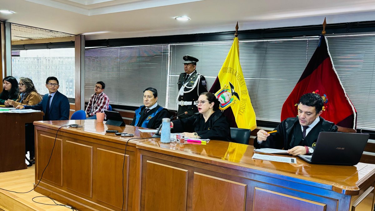 La audiencia en el caso Purga continúa.