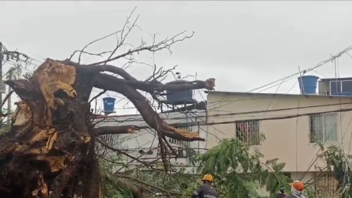 Situación. La alerta se dio la mañana de este sábado 15 de febrero.