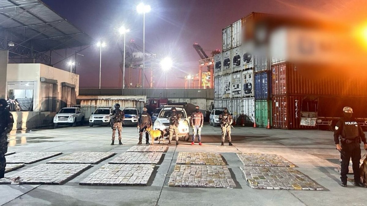 Operativo evitó envío de drogas a Reino Unido