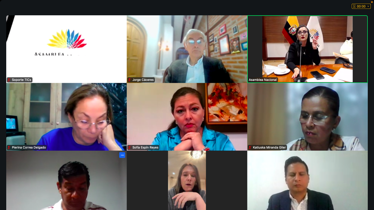 El Pleno sesionó de forma virtual la tarde del 15 de febrero de 2025.