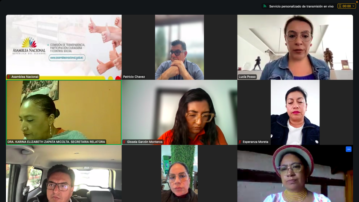 La Comisión de Participación Ciudadana sesionó este 16 de febrero de 2025.