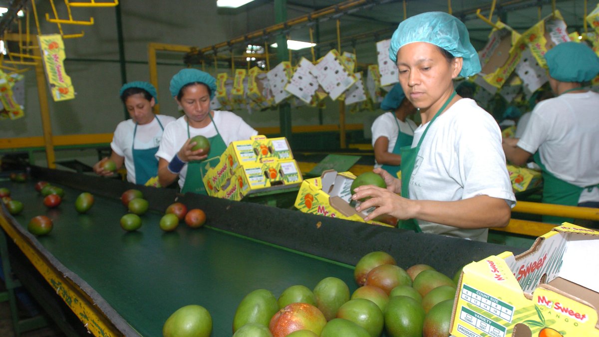 Ecuador ha dejado de percibir aproximadamente $ 15.000 millones en exportaciones potenciales entre 2005 y 2024.