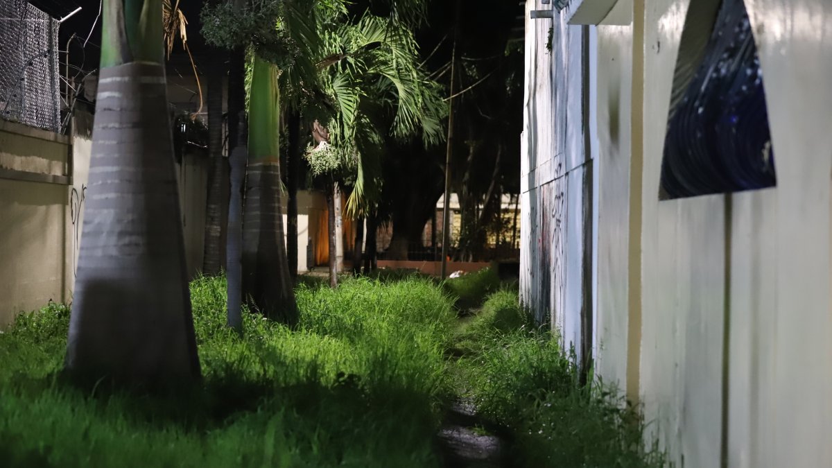 Municipio de Guayaquil, sancionará a quienes no limpien sus predios.