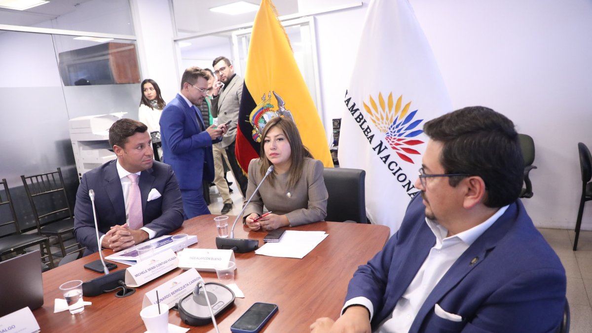 El director del CIES, Michele Sensi Contugi (i), compareció ante la Comisión de Seguridad, presidida por la oficialista Inés Alarcón.