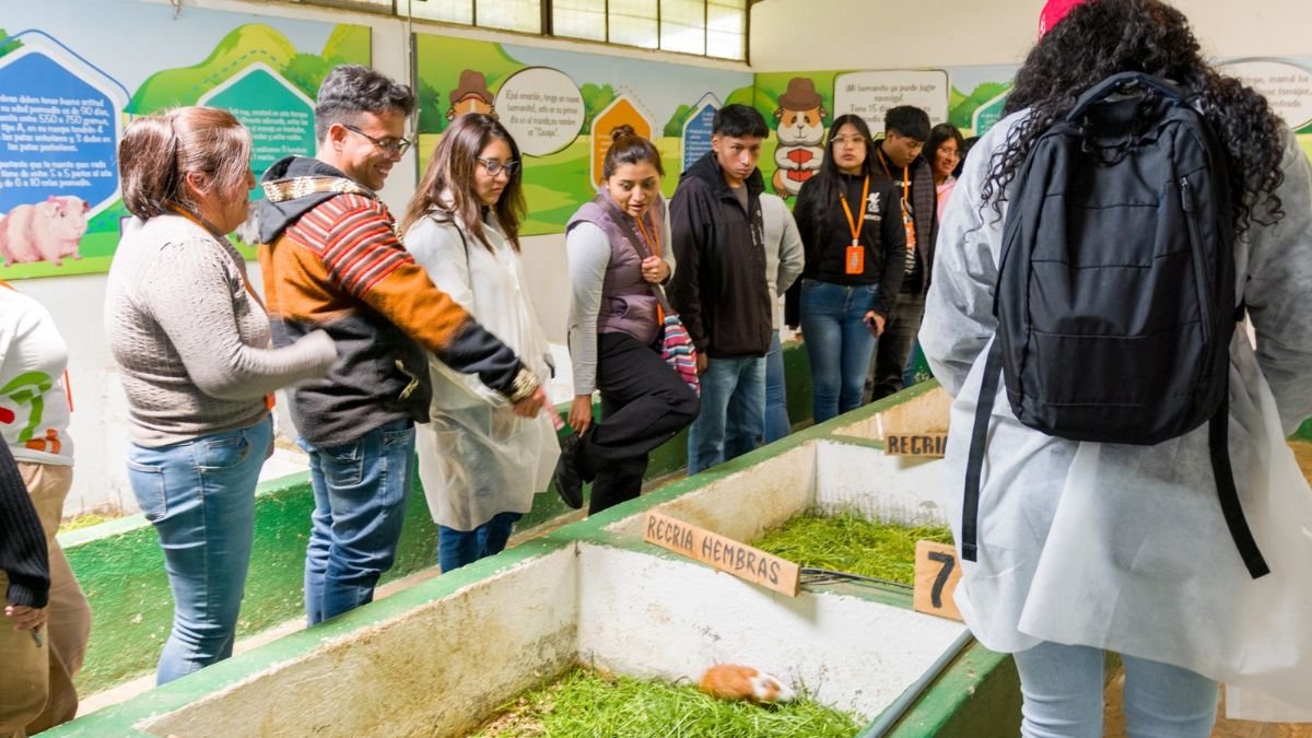 ONG. La Fundación Alianza Suiza trabaja en la capacitación y educación de comunidades sostenibles.