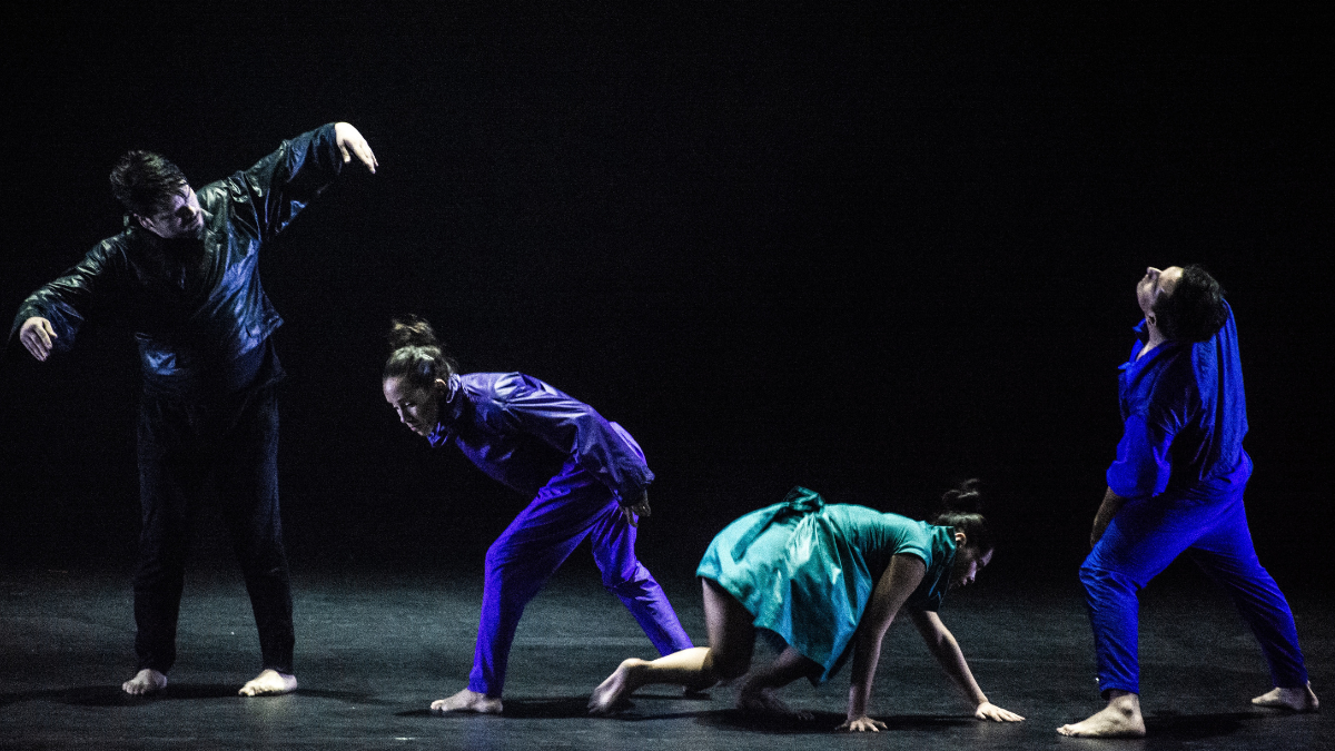 'Testigos modestos' se presentará en Guayaquil, Quito y El Coca.