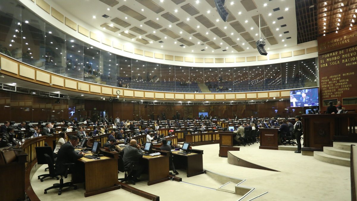 El Pleno de la Asamblea trató la ley del Ejecutivo este 19 de febrero de 2025.