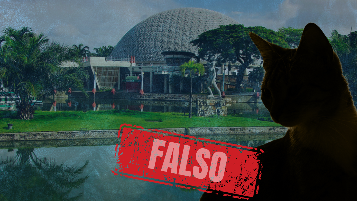 Municipio descarta veracidad de gatos muertos en el Parque Forestal.