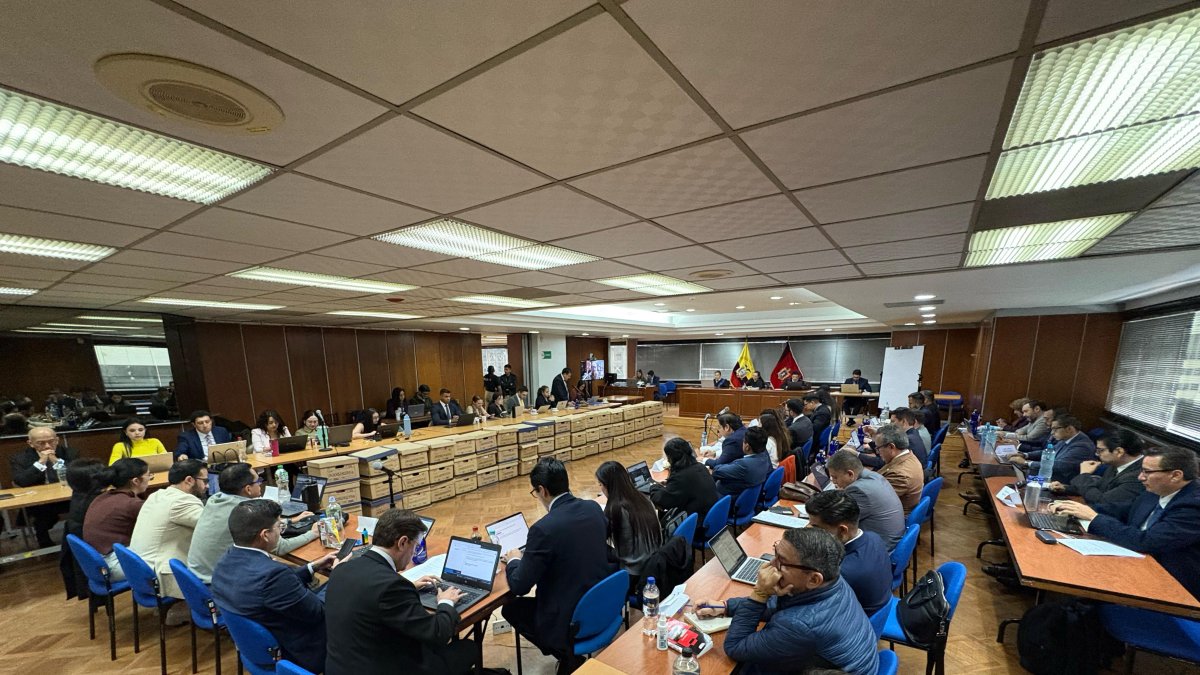 El fiscal también solicitó que se impongan multas.